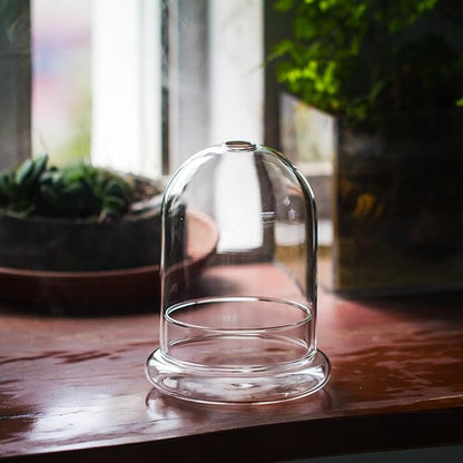 Small Glass Dome with Base and Air Hole - 4.7 x 4.7 x 6.3 Inch - Clear Glass Cloche Bell Jar, Home Indoor Tabletop Decorative Terrarium, (No Plants Included)