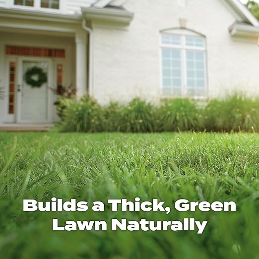 Scotts Natural Lawn Fertilizer, 4,000 sq. ft., 29.1 lbs. (2-Pack)