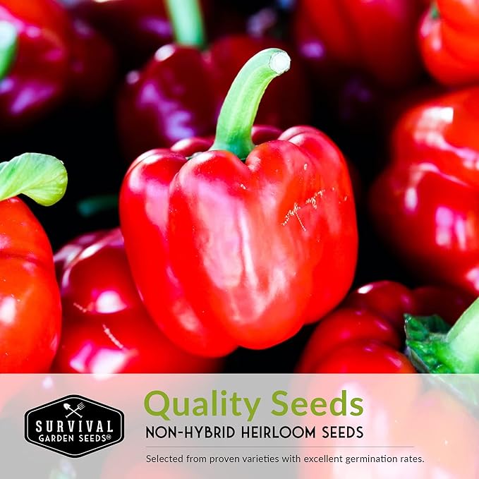 Sweet Pepper Collection – 5 Variety Pack | California Wonder, Marconi Red, Cubanelle, Chocolate Beauty & Big Red | Heirloom Non‑GMO Bell Peppers for Planting – Survival Garden Seeds