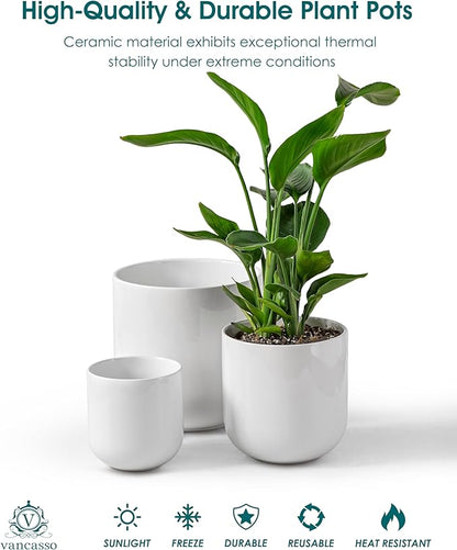 vancasso 6+8+10 inches Ceramic Plant Pots, Set of 3, Planters with Drainage Hole, Flower Pots Planters Pots for Indoor Plants, Modern Indoor Decorative Garden Pot, Home Decor, White