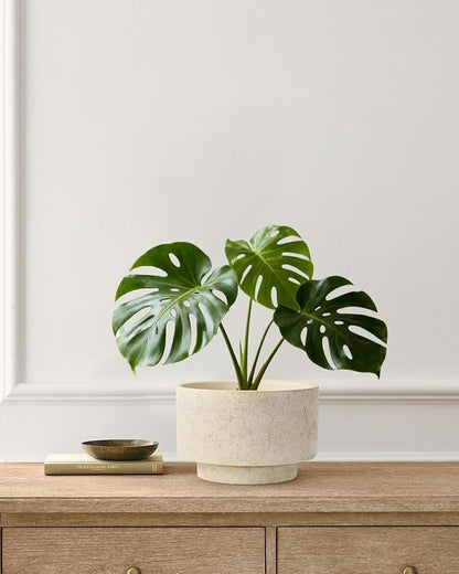 Succulent Pots, 8 Inch + 6 Inch Plant Pots for Plants with Drainage Hole, Indoor Outdoor Ceramic Planter, Set of 2 Round Flower Pots for Succulent and Plants, Beige