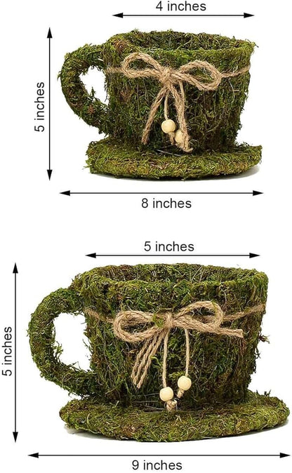 Efavormart Set of 2 | Preserved Moss Teacup Planter Box with Natural Braided Twine Bow - 5" & 4.5"