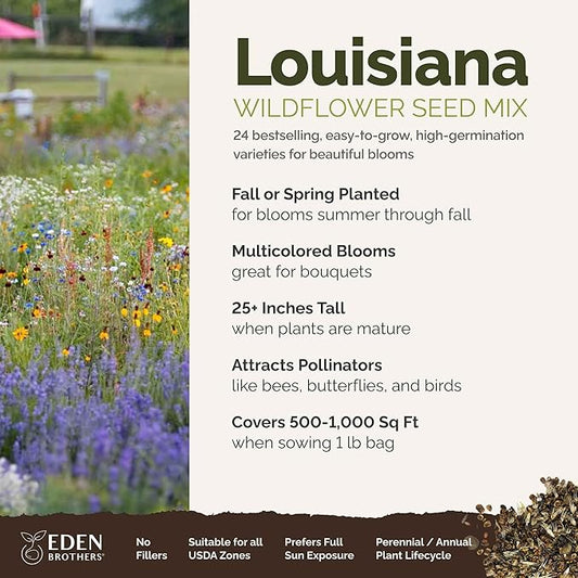 Eden Brothers Louisiana Wildflower Mixed Seeds for Planting, 1 lb, 480,000+ Seeds with Lupine, African Daisy | Attracts Pollinators, Plant in Spring or Fall, Zones