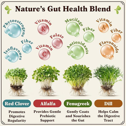 Seedboy Organic Non-GMO Sprouting Seeds, Gut Health Blend – USA Grown Microgreens Mix with Clover, Alfalfa, Fenugreek, Dill – 8 oz Bag Makes 8 Quarts / 24 Servings (Gut Health Blend)