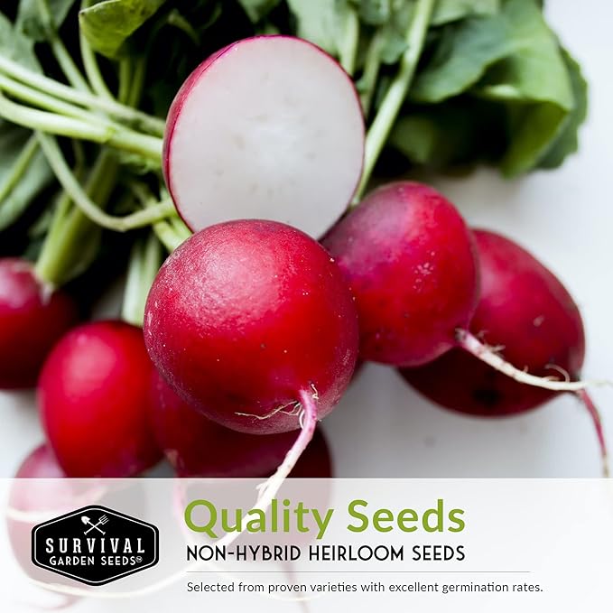 Radish Seeds Variety Pack – 5 Packets | Heirloom Non-GMO Radishes for Planting: Daikon, Watermelon, Purple Plum, French Breakfast & Champion – Survival Garden Seeds