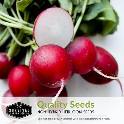 Radish Seeds Variety Pack – 5 Packets | Heirloom Non-GMO Radishes for Planting: Daikon, Watermelon, Purple Plum, French Breakfast & Champion – Survival Garden Seeds