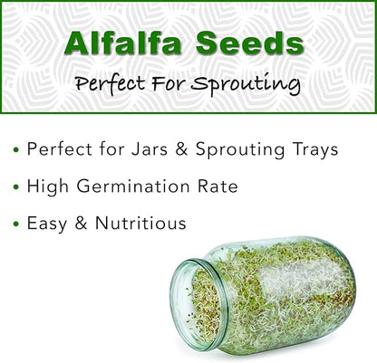 USDA Organic Alfalfa Sprouting Seeds | 1 Pound | Perfect for Sprouting & Microgreens, Premium Alfalfa Sprout Seeds, Non-GMO