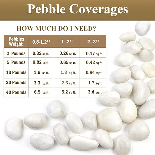 5lbs White Pebbles for Indoor Plants, 0.8-1.2 Inch Smooth White River Rocks for Potted Plants, Decorative Polished Stones for Landscaping Vase Fish Tank and Outdoor Garden Pavers