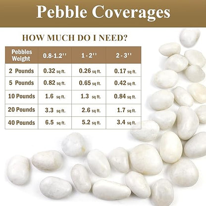 5lbs White Pebbles for Indoor Plants, 0.8-1.2 Inch Smooth White River Rocks for Potted Plants, Decorative Polished Stones for Landscaping Vase Fish Tank and Outdoor Garden Pavers