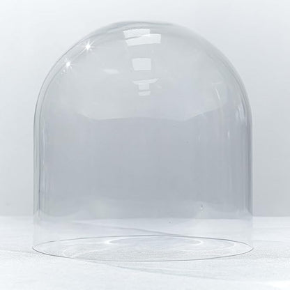 CYS EXCEL Glass Cloche Dome (H:10" D:9.75") | Multiple Sizes Decorative Showcase Display for Antique Collectibles | Bell Jar Terrarium & Dessert Cover