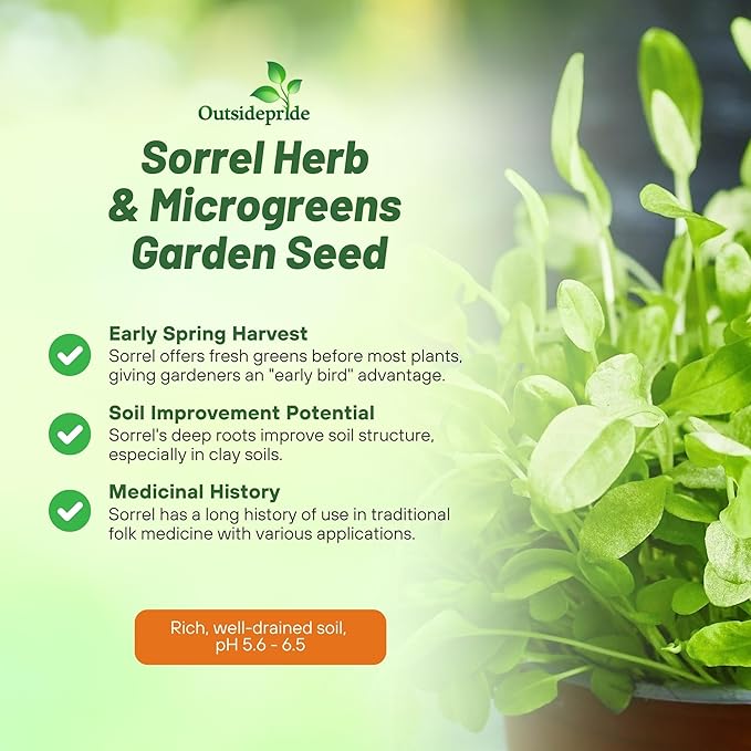 Outsidepride Sorrel Seeds - 5,000 Pcs Perennial, Easy-to-Grow, Drought and Frost Tolerant Herb & Microgreens for Culinary Use, Pollinator Gardens, and Outdoor Landscaping