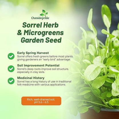 Outsidepride Sorrel Seeds - 5,000 Pcs Perennial, Easy-to-Grow, Drought and Frost Tolerant Herb & Microgreens for Culinary Use, Pollinator Gardens, and Outdoor Landscaping