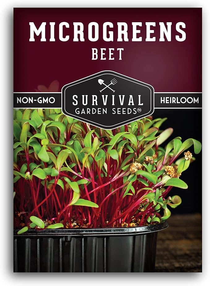 Beet Microgreen Seeds for Sprouting - Non-GMO Heirloom Beet Seeds to Grow Red Microgreens - Indoors or Hydroponic - Fast Growth, Sweet Flavor - Survival Garden Seeds (1 Pack)