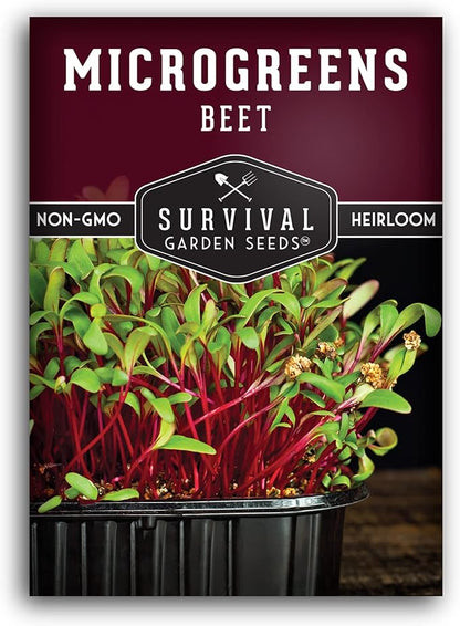 Beet Microgreen Seeds for Sprouting - Non-GMO Heirloom Beet Seeds to Grow Red Microgreens - Indoors or Hydroponic - Fast Growth, Sweet Flavor - Survival Garden Seeds (1 Pack)
