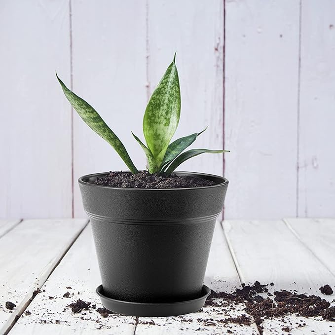 4 Inch Plastic Plant Pots 6 Pack, Small Flower Pots with Drainage Holes and Tray, Thickened Indoor Planters Seedlings Nursery Pots, African Violet, Succulent and All House Plants, Green