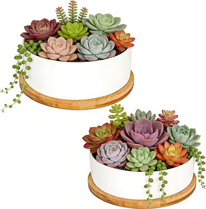 White Ceramic Succulent Plant Pots, Set of 2 Round Planter Small Cactus Container, Bonsai Pots, Succulent Pots with Drainage Hole& Bamboo Tray (No Plant)