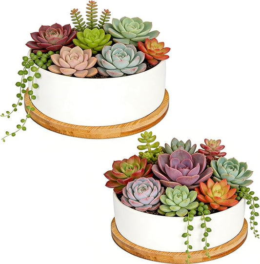 White Ceramic Succulent Plant Pots, Set of 2 Round Planter Small Cactus Container, Bonsai Pots, Succulent Pots with Drainage Hole& Bamboo Tray (No Plant)