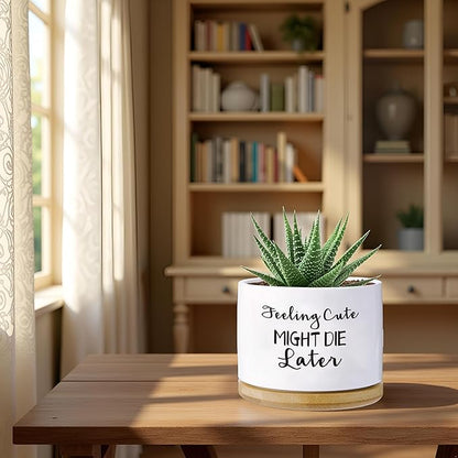 Funny planters for Indoor Plants Garden Succulent Pots, with Drainage Holes and Saucer(No Plants) (Feeling Cute Might Die Later)