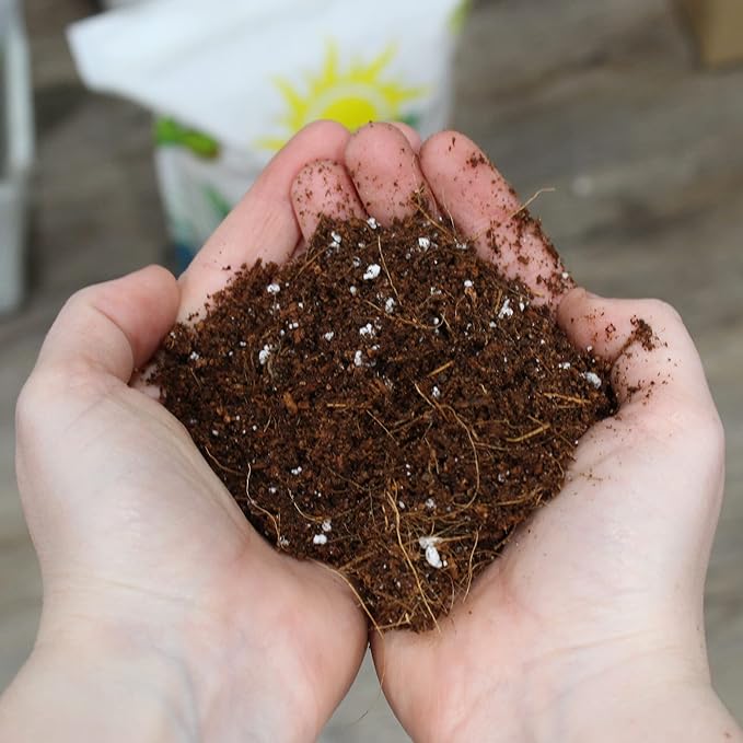 Soil Sunrise Coco Peat Perlite Potting Mix (4 Quarts) Loose Coconut Coir and Perlite