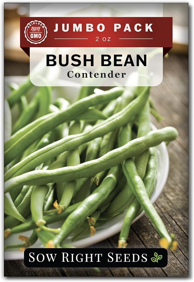 Sow Right Seeds - Bulk Contender Bush Green Bean Seeds for Planting - 2 Ounce, 110 Seeds - Non-GMO Heirloom Jumbo Packet with Instructions to Plant Outdoor Home Vegetable Garden - Grow Large Harvest