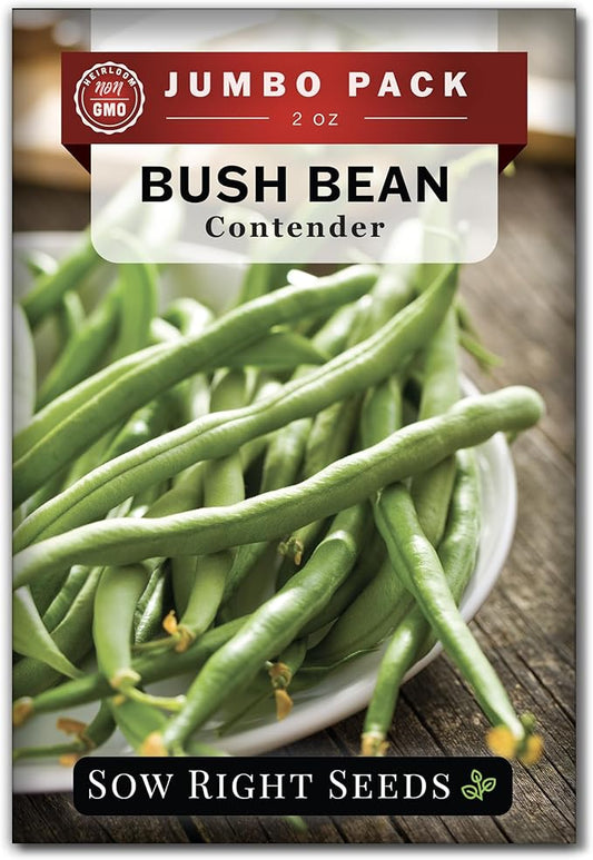 Sow Right Seeds - Bulk Contender Bush Green Bean Seeds for Planting - 2 Ounce, 110 Seeds - Non-GMO Heirloom Jumbo Packet with Instructions to Plant Outdoor Home Vegetable Garden - Grow Large Harvest