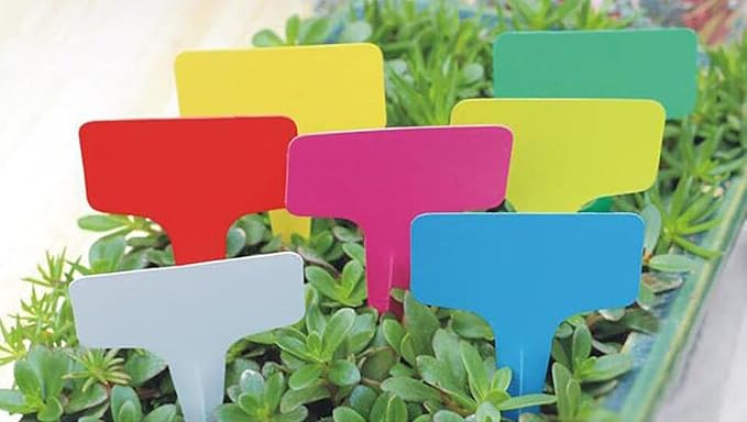 Set of 100 Assorted Colour T-type Seed Nursery Plant Label - 4 x 2-1/3 Inch Waterproof Plastic Reusable Gardening Marker Seeds Identifier Garden Stakes Gardening Tags