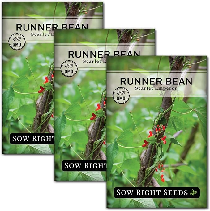 Sow Right Seeds - Scarlet Emperor Runner Bean Seeds for Planting - Non-GMO Heirloom Packet with Instructions to Plant & Grow an Outdoor Home Vegetable Garden - Tall and Fast Growing Vining (3)