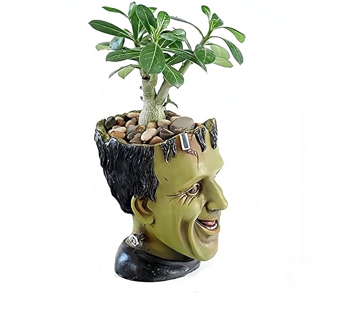 Funny Planter Head Planter Succulent Pot with Drainage Hole Fairy Garden Resin Cactus Plant Pot Pencil Holder Desk Storage Gift for Women Men(Frankstein)