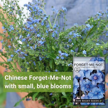Sow Right Seeds - Forget-Me-Not Flower Seeds for Planting (Cynoglossum amabile) - Non-GMO Heirloom Packet with Instructions - Great to Pair with Cards of Remembrance - Small Blue Memory Blooms (25)