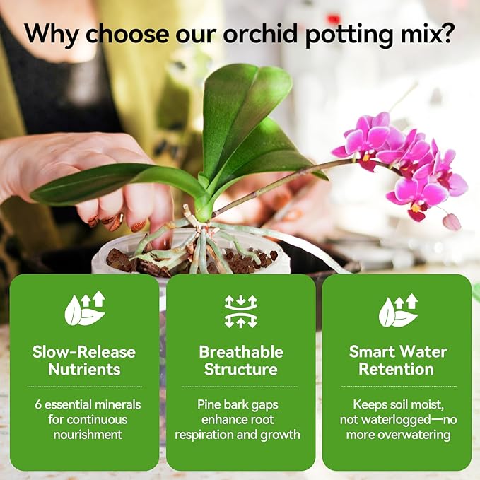 Orchid Bark Potting Mix with Pine Bark and Perlite, Fast Draining Orchid Soil for Healthy Roots, Ideal for Repotting Orchid and Orchid Bark for Indoor Plants (2 Quarts)