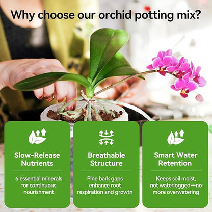 Orchid Bark Potting Mix with Pine Bark and Perlite, Fast Draining Orchid Soil for Healthy Roots, Ideal for Repotting Orchid and Orchid Bark for Indoor Plants (2 Quarts)