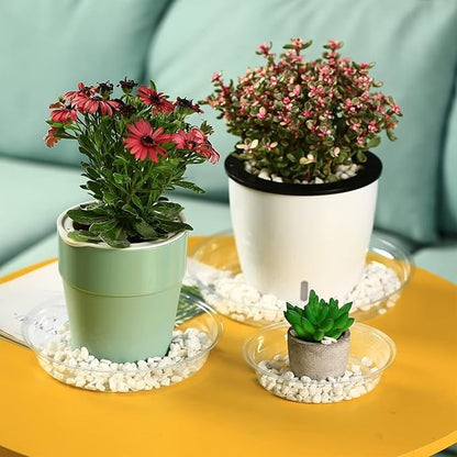 20 Packs 18" Extra-Large Clear Plant Saucers for Indoor Outdoor Use Heavy Duty Plastic Plant Trays for Planter Bulk Flower Pot Drip Trays to Catch Water, 4 to 20 Inch