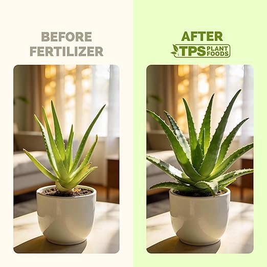 Aloe Vera Fertilizer for All Aloe and Succulent Plants, Liquid Plant Food, 32 oz (1 Quart)