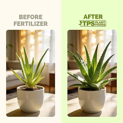 Aloe Vera Fertilizer for All Aloe and Succulent Plants, Liquid Plant Food 8 oz (250mL)