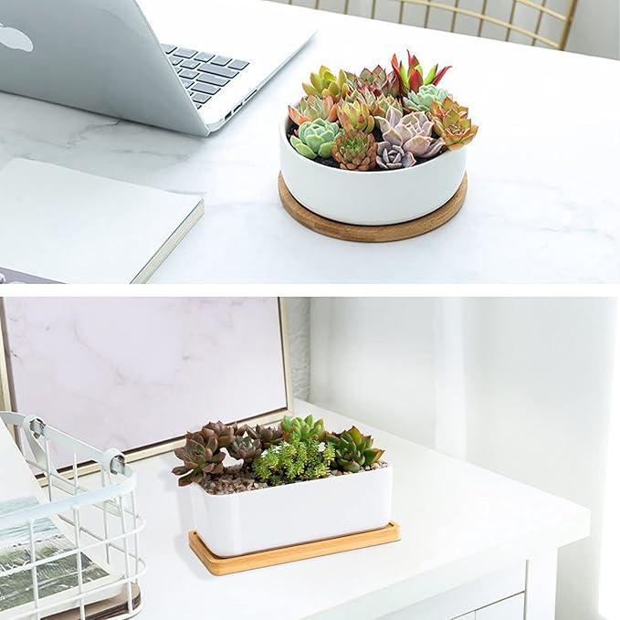 White Ceramic Succulent Plant Pots, 1 Rectangular Flower Pot + 1 Round Planter, Set of 2 Small Cactus Container, Bonsai Pots, Succulent Pots with Drainage Hole& Bamboo Tray (No Plant)