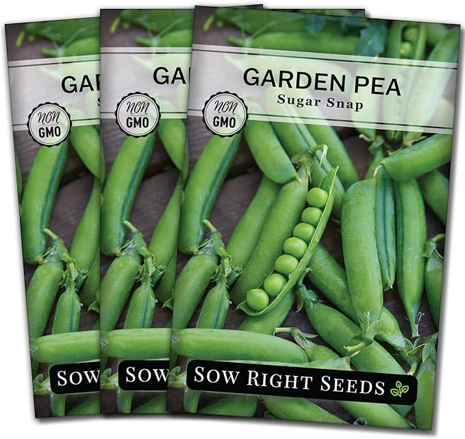 Sow Right Seeds - Sugar Snap Pea Seeds for Planting - Non-GMO Heirloom Packet with Instructions to Plant a Home Vegetable Garden - Grow Tons of Delicious Pods - Cool Season Crop, Super Productive (3)