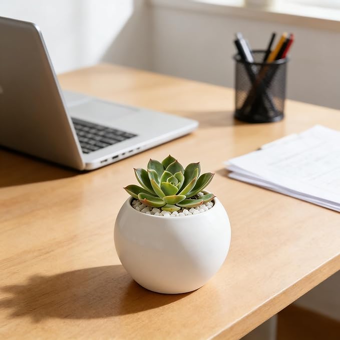 White Spherical Ceramic Planter Succulent Small Plant Pots Indoor Modern Round Decorative Indoor-Outdoor Garden Plant Pots with Drainage Holes - Plants Not Included 3.94 x 3.94 x 3.15 Inch