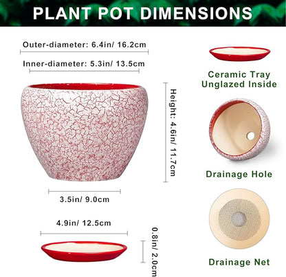 Ceramic Plant Pots - 6 Inch Pots for Plants Indoor Outdoor, Modern Planter with Drainage Hole and Tray, Round Decorative Flower Pot, Home Office Decor, House Warming Gifts, Crackle Red