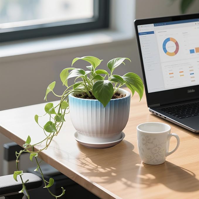 6.7 + 5.5 Inch Ceramic Plant Pots,Planters with Drainage and Saucer,Indoor Pots for Plants,Modern Flower Pots for Home and Office（Blue + White）