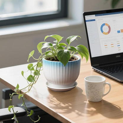 6.7 + 5.5 Inch Ceramic Plant Pots,Planters with Drainage and Saucer,Indoor Pots for Plants,Modern Flower Pots for Home and Office（Blue + White）