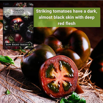 Sow Right Seeds - Black Beauty Tomato Seeds for Planting - Non-GMO Heirloom Packet with Instructions to Plant an Outdoor Home Vegetable Garden - Rare Deep Purple Slicing Variety - Sweet Flavor (4)