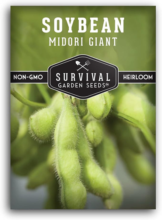 Midori Giant Soybean Seeds for Planting - Grow Protein-Rich Edamame Pods in Your Home Vegetable Garden - Non-GMO Heirloom Soy Bean - Survival Garden Seeds (1 Pack)