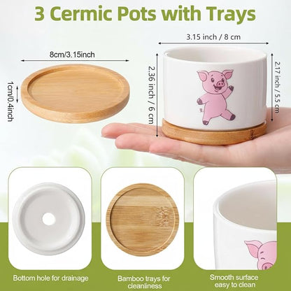 Vesici 3 Pcs Pink Pig Gifts for Women Pig Planter Succulent Pots with Drainage and Bamboo Tray Small Ceramic Succulent Planters Animal Plant Pot for Christmas Office Home Decor Plant Lovers