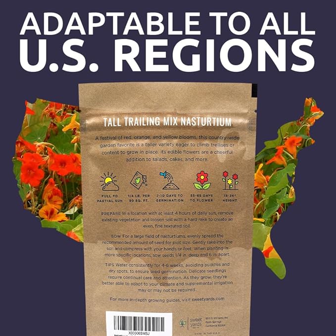Nasturtium Seeds – Mixed Colors – Bulk Quarter Pound Bag – Over 900 Open Pollinated Non-GMO Flower Seeds – Tropaeolum majus