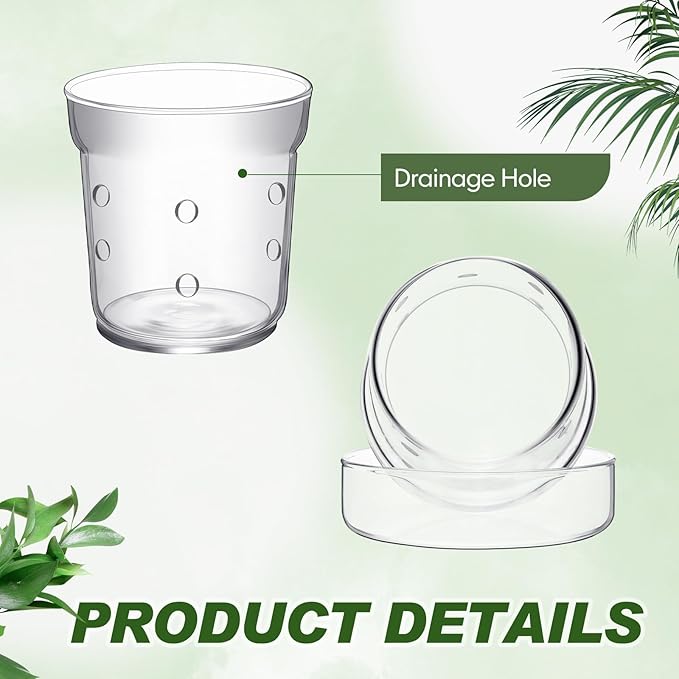 Baderke 1 Pcs Orchid Pot with Drainage Holes and Tray Transparent Glass Pot Planter for Orchids Flower Repotting Anti Slip Glass Plant Vase for Indoor Outdoor Home Decor (6 Inch)