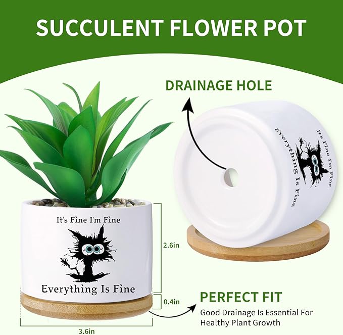Black cat planters for Indoor Plants,Funny Gifts for Cat Lover,Indoor Plants Garden Planters Succulent Pots, with Drainage Holes and Saucer(No Plants) (Black Cat)