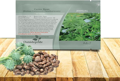 Outsidepride Zanzibariensis Castor Bean Seeds - 50 Pcs Annual Quick-Growing Tropical Flower Seeds for Planting Vibrant Foliage & Colorful Blooms for Eye-Catching Borders, Gardens & Landscapes