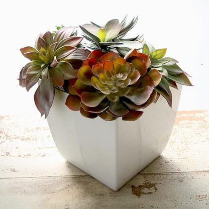 The HC Companies Aria Self Watering Square Plant Pot w/Drainage - Planters for Outdoor Plants & Indoor Plants - Lightweight & UV-Resistant Plastic Pots for Plants (6" Glossy Black, Pack of 2)
