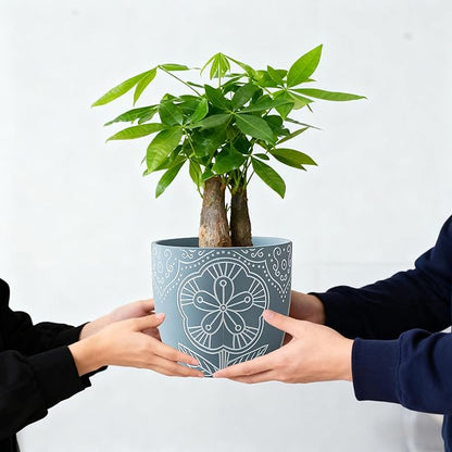 Terracotta Plant Pots,6.5+5+4.4 Inch Plant Pots Indoor with Drainage Hole- Floral Pattern,Blue Ceramic Planters for Indoor Plants,Boho decorative Flower Pots for Succulents,Herbs Plants,Set of 3