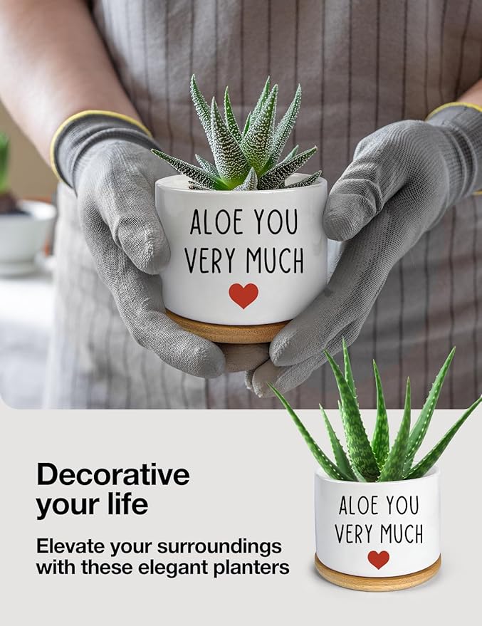 You Very Much- White Ceramic Engraved Mini Succulent Aloe Cactus Planter Pot, Funny Plant Pots Indoor Flower Plant Pots for Home Office Windowsill Levitating Plant Pot Gifts, 3.8 inch